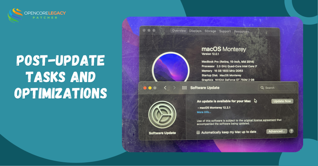 Post-Update Tasks and Optimizations